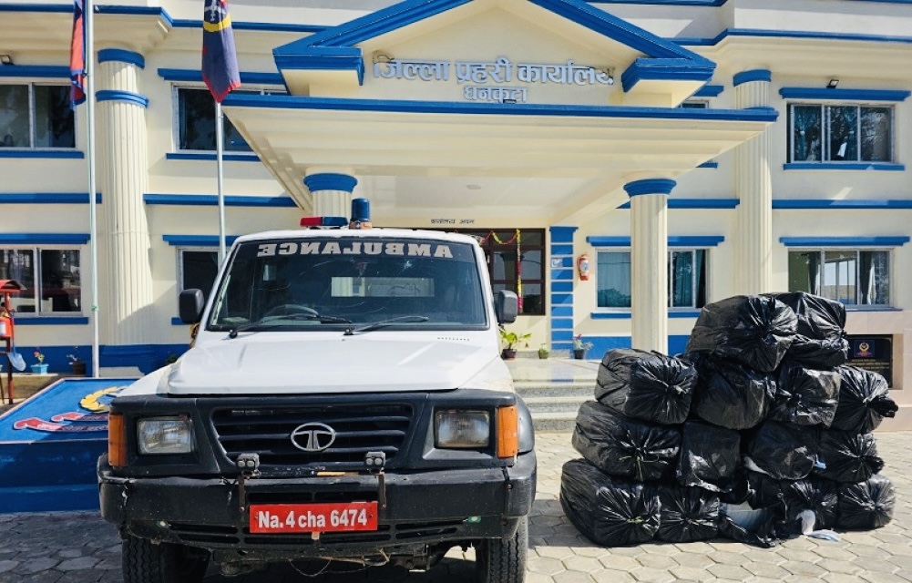 धनकुटामा एम्बुलेन्सभित्र ४ सय ४९ किलो गाँजा बरामद, चालक फरार