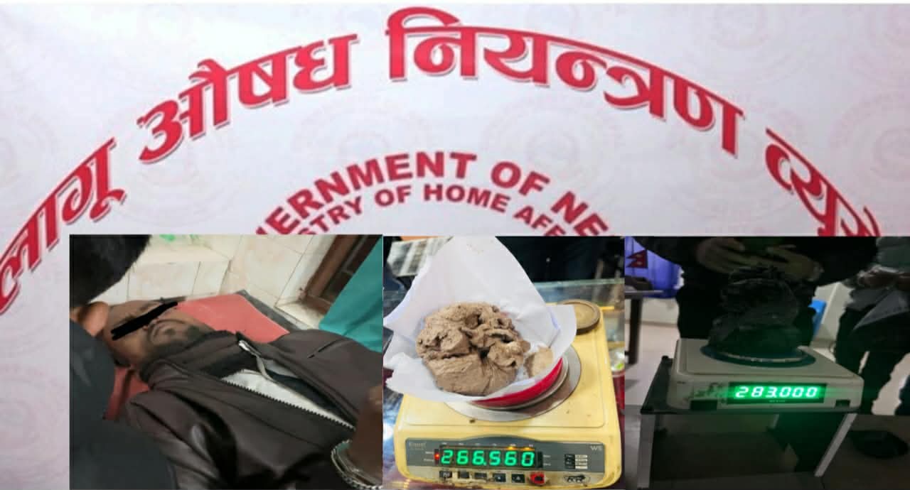 नेपालगञ्ज शाखाको अपरेसन: २६६ ग्राम खैरो हेरोइनसहित भारतीय पक्राउ