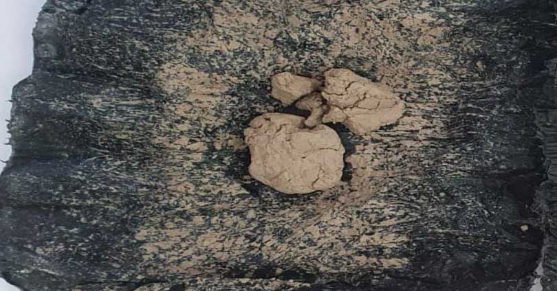 बानेश्वरबाट होस्टल सञ्चालिका पक्राउ, खैरो हेरोइन बरामद