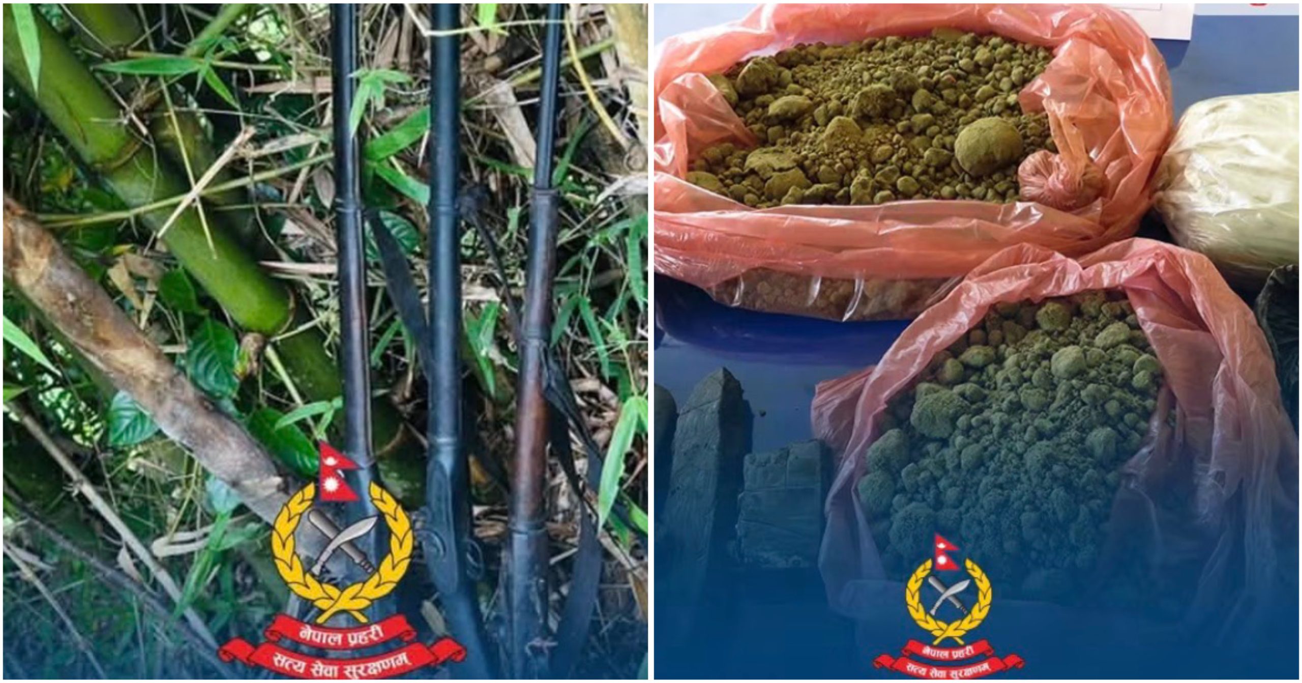 बागलुङमा तीन थान भरुवा बन्दुक बरामद, लागुऔषधसहित होटल सञ्चालक पक्राउ